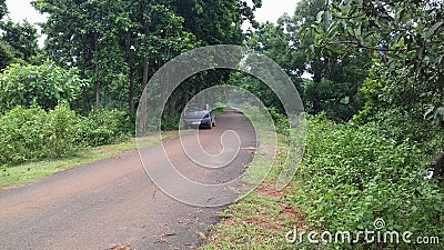 Car on Road side under jungle area Editorial Stock Photo