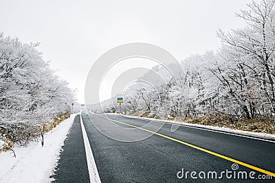 Car road with winter snow at Hallasan mountain 1100 highland in Jeju Island, Korea Stock Photo