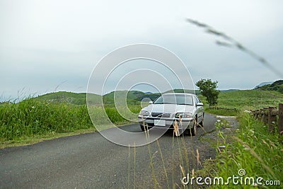 A car that runs exhilaratingly in the meadow Stock Photo