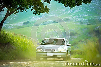 A car that runs exhilaratingly in the meadow Stock Photo