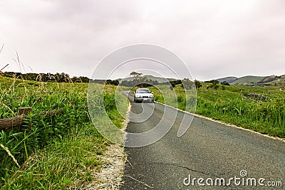 A car that runs exhilaratingly in the meadow Stock Photo