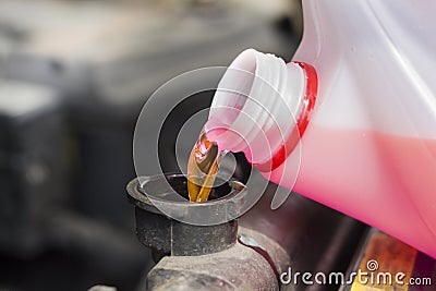 Car service. Adding liquid to the car`s radiator. Stock Photo