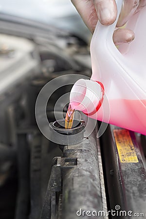 Car service. Adding liquid to the car`s radiator. Stock Photo