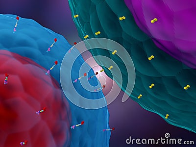 A CAR T cell interacting with a cancer cell Cartoon Illustration