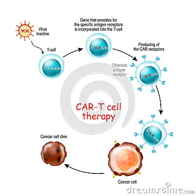 CAR T-cell therapy Vector Illustration