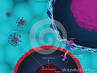 CAR-T cell therapy Cartoon Illustration