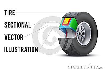 Car tire with layers sectional Vector Illustration