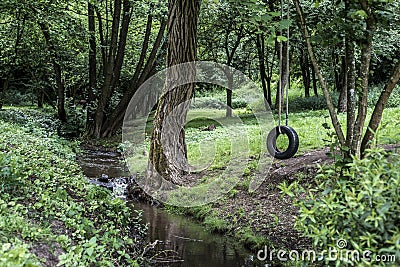 Car tire used as swing on tree forest near creek stream Concept photo of childhood nostalgia memory retro vintage Stock Photo