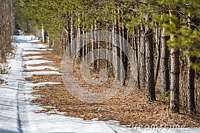 The car trail is disappearing on a melting snow road Stock Photo