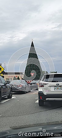 Car view of a large christmas tree in sarasota Florida Editorial Stock Photo