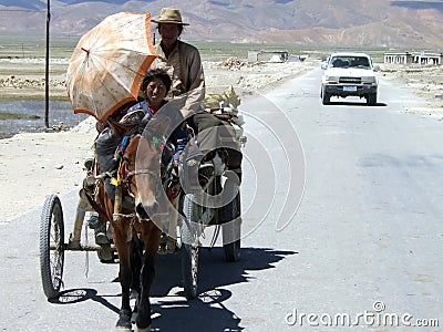 Car vs Cart Editorial Stock Photo