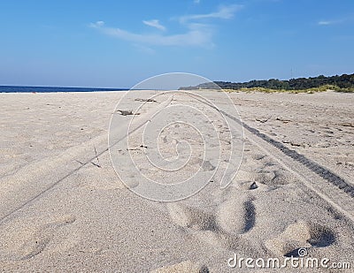 Car wheel tracks in the sand Stock Photo