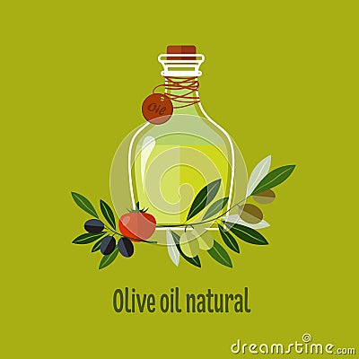 Carafe with Olive Oil Isolated on Background Vector Illustration