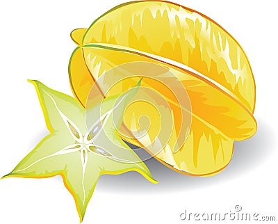 Carambola Vector Illustration