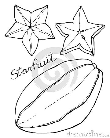 Carambola fruit or starfruit. Hand drawn cartoon fruits. Doodle drawing. Vector Illustration