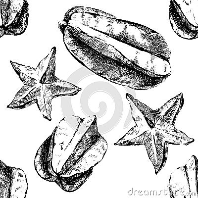 Carambola fruit on white background Vector Illustration