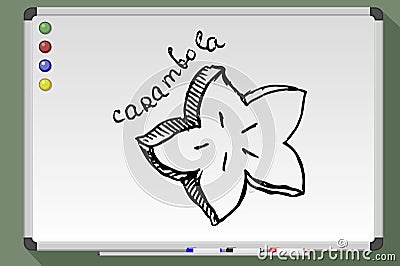 Carambola hand drawn Cartoon Illustration