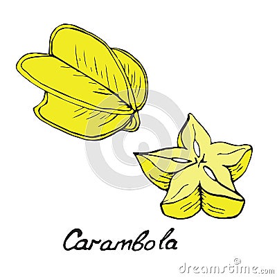 Carambola and sliced piece Vector Illustration