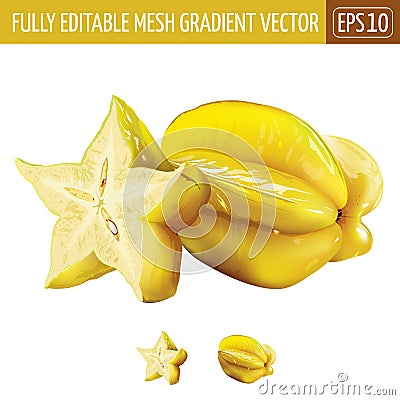 Carambola, starfruit on white background. Vector illustration Vector Illustration