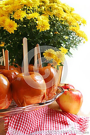 Caramel apples and mum flowers, delicious fall festival or party food, autumn treat Stock Photo