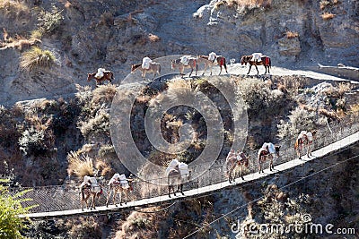 Caravan on bridge Stock Photo