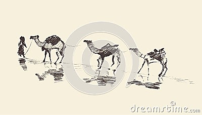 Caravan Camels Desert Vector Illustration Sketch Vector Illustration