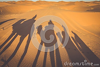 Caravan camels walking shadows projected over orange sand dunes Stock Photo