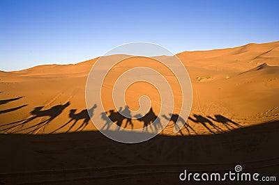 Caravan in the Sahara desert Stock Photo