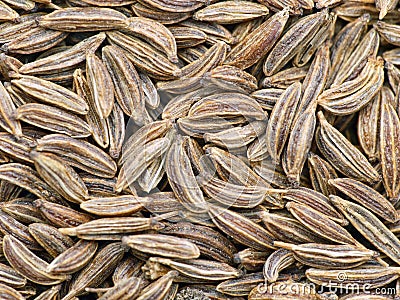 Caraway Stock Photo