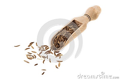 Caraway Stock Photo