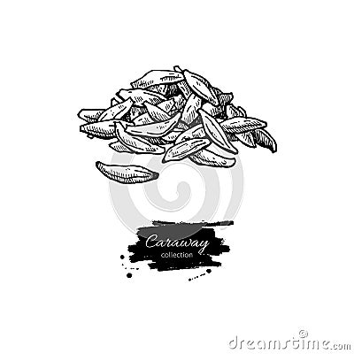 Caraway seed heap vector hand drawn illustration. Isolated spice Vector Illustration