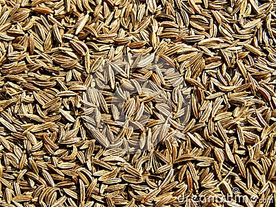 Caraway seeds Stock Photo