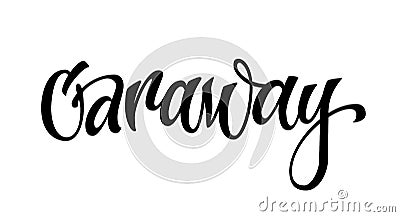 Caraway - vector hand drawn calligraphy style lettering word. Vector Illustration