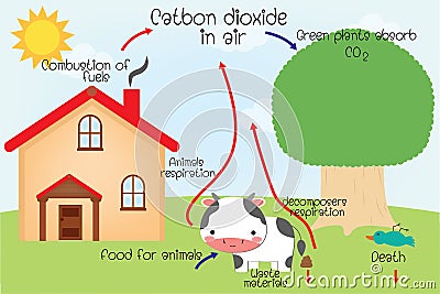 The carbon cycle Vector Illustration