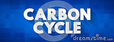 Carbon Cycle - process in which carbon atoms continually travel from the atmosphere to the Earth and then back into the atmosphere Stock Photo
