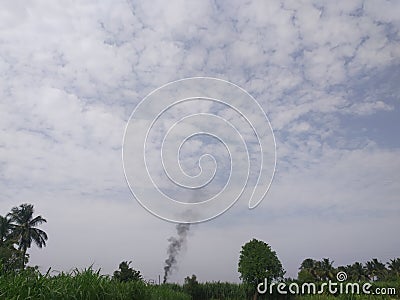 Carbon dioxide and clouds and trees Stock Photo