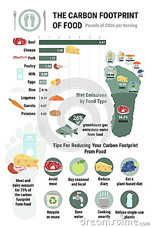 Carbon footprint of food infographic. Tips for reducing your personal carbon footprint from food. Plant-based diet, environmental Vector Illustration