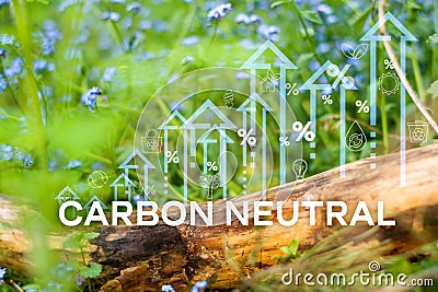 Carbon neutral on the top view of the forest for Carbon neutral and net zero concept natural environment C Stock Photo