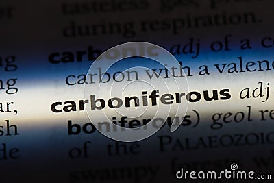 carboniferous Stock Photo