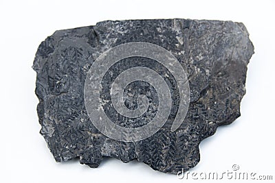 carboniferous imprint over white background Stock Photo