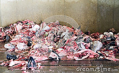 Carcass of fish on the floor Stock Photo