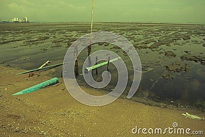 Carcasses of dead fish heads in the sand Stock Photo