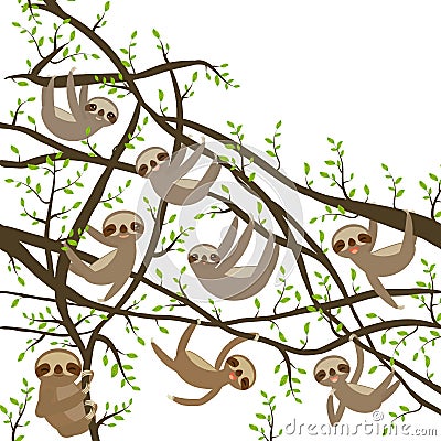 Card banner template with funny and cute smiling Three-toed sloth set on green branch tree creeper, copy space isolated white back Vector Illustration