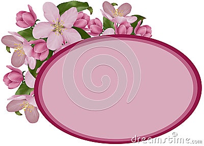pink apple flowers, cherries Stock Photo