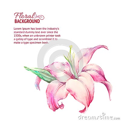 Card with blooming lily. Vector Illustration