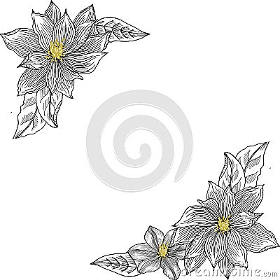 Card with clematis. Graphics. Hand drawn. Stock Photo