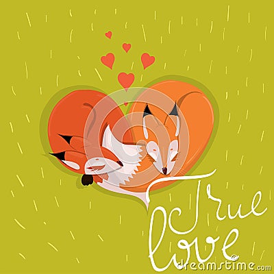 Card with cute enamored foxes sleeping on the meadow vector image Stock Photo