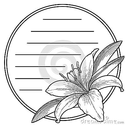 Monochrome lily in a circle on a white background Stock Photo