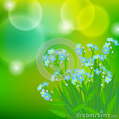 Card with forget me not flowers on sun light Vector Illustration