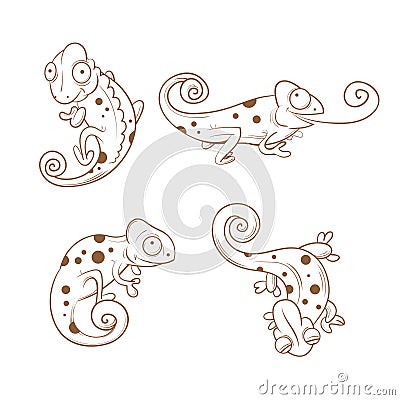 Cartoon chameleons set. Cartoon Illustration